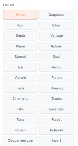 Photo Collage Maker filter panel showing 25+ cinematic filters including vintage, sepia, noir, sunset, neon, and polaroid