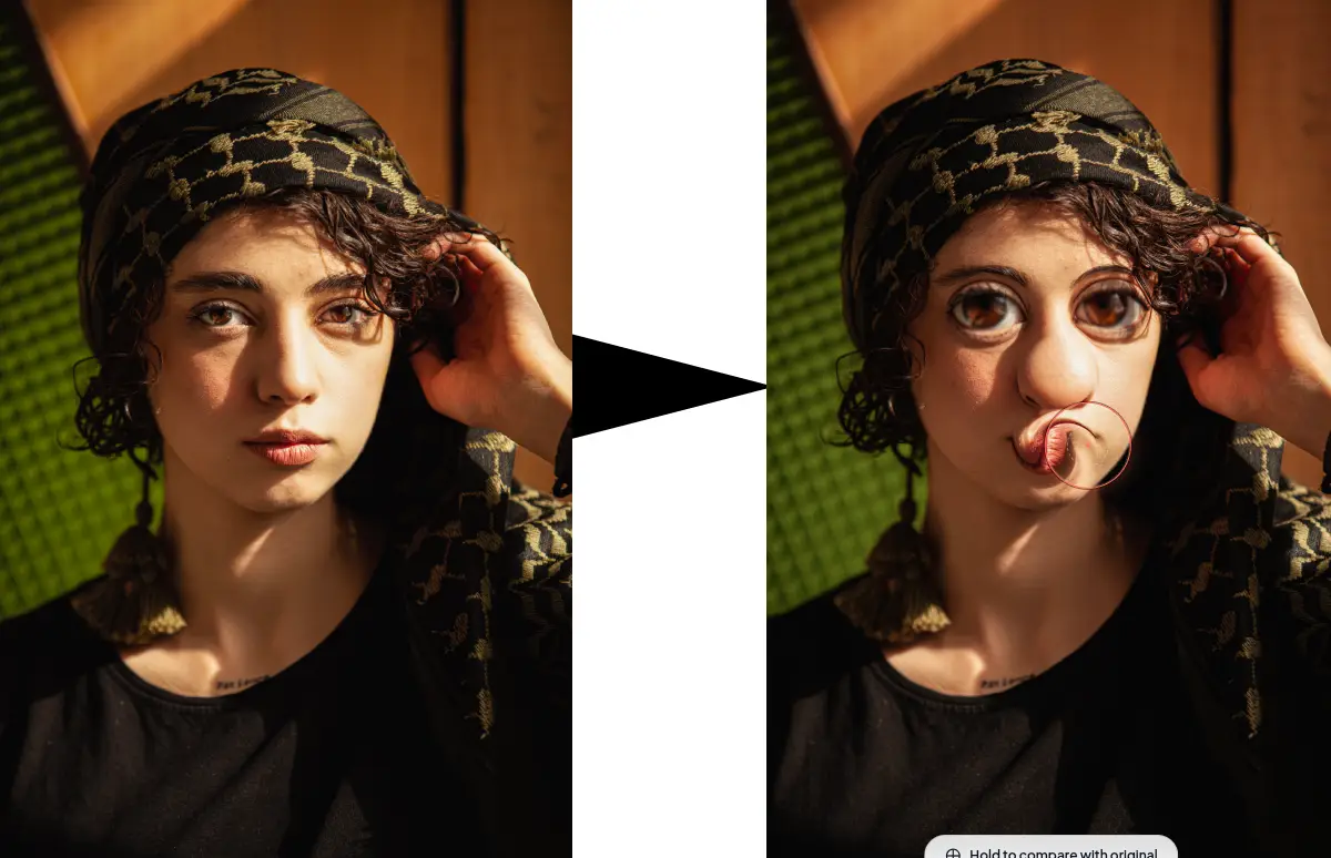 Image Distorter surprise me mode showing random distortion cocktail applied to sample image with unique results